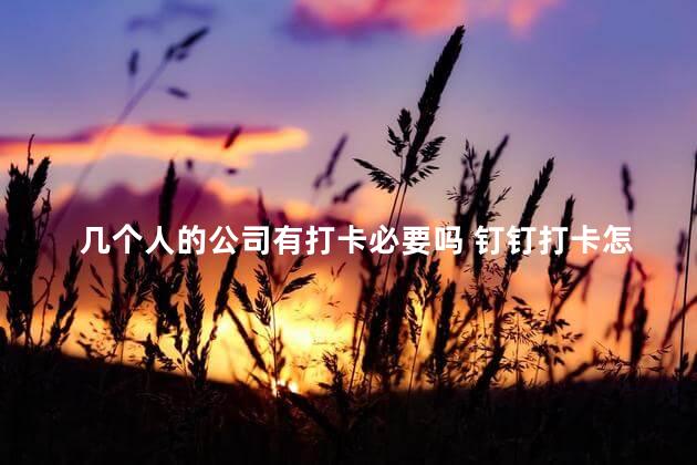 几个人的公司有打卡必要吗 钉钉打卡怎么改时间